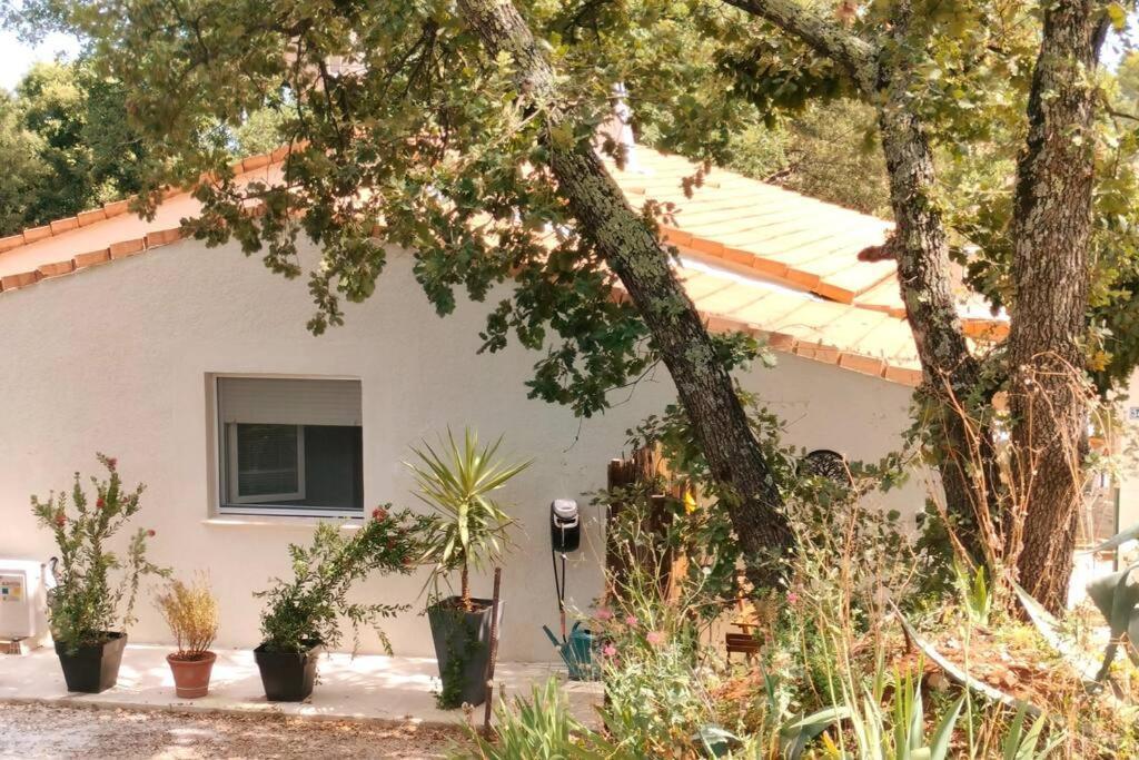 Apartament La Madoca Flayosc Zewnętrze zdjęcie